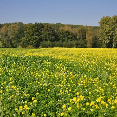 Holiday Saint Amour Durbuy